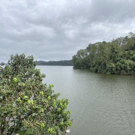 Brazil Story Mapping Atlantic Forest