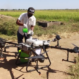 Madagascar Web Crop Sparing Project
