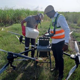 Mozambique Web Crop Spraying Project