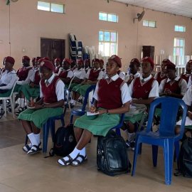 Nigeria Web STEM Training