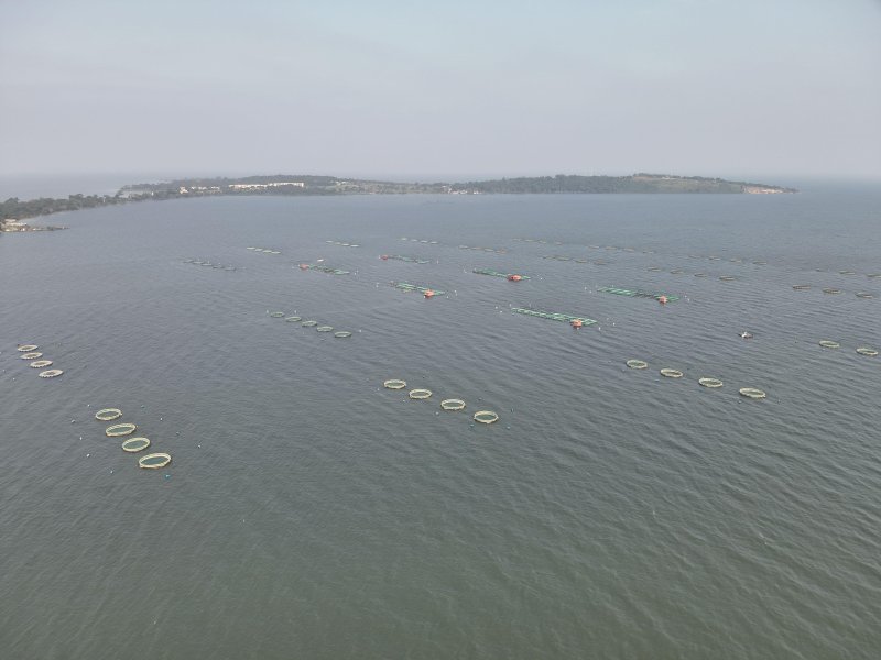 Uganda_Blog_Fish Cages in Lake Victoria-1