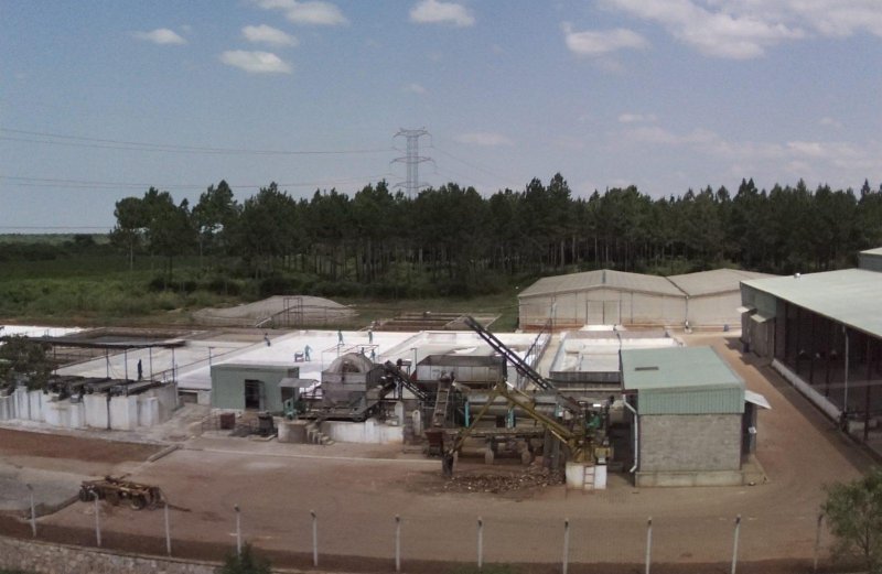 Uganda_Blog_Pura Organics Factory plant that never stops