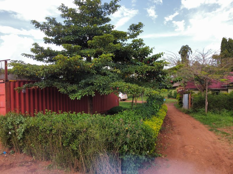 Uganda_Blog_Pura Organics Dji fly-3