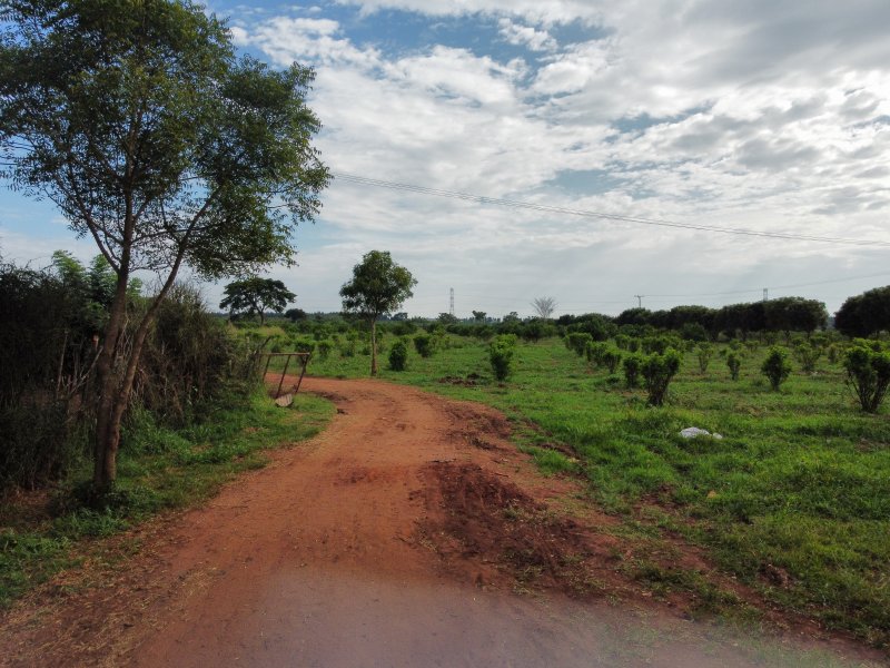 Uganda_Blog_Pura Organics Dji fly-2