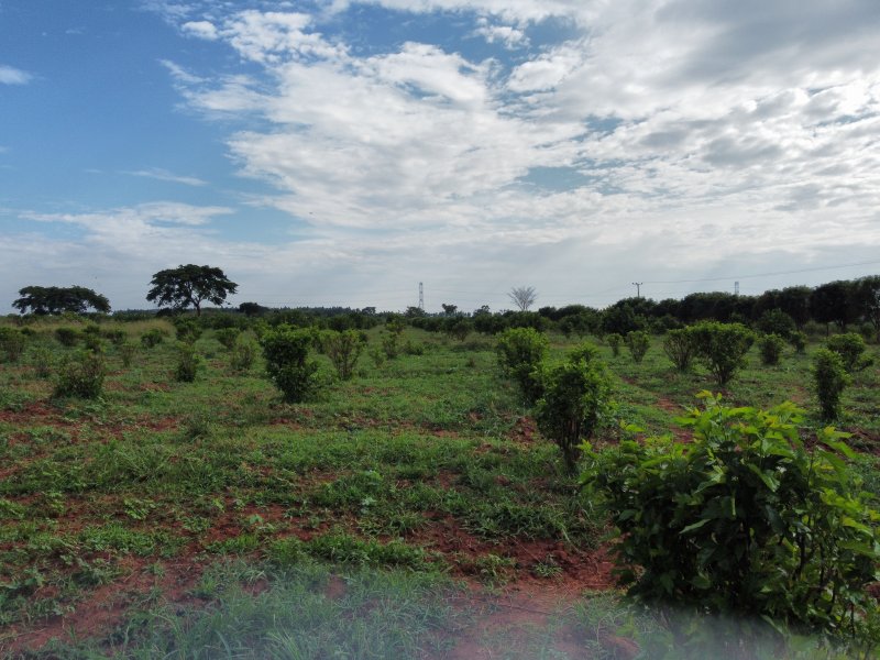 Uganda_Blog_Pura Organics Dji fly-1