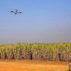 Cote d Ivoire Story Sugarcane production