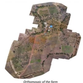Senegal Story 3 D irrigation network