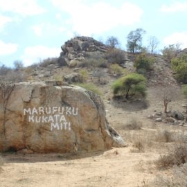 Tanzania Story Monitoring Reforestation Efforts