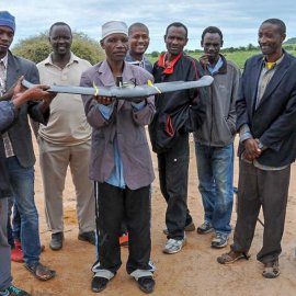 Tanzania Story Preharvest loss estimation