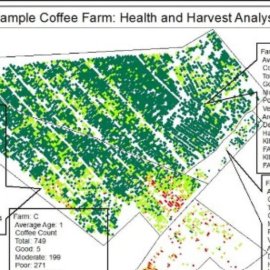 Uganda Story Coffee yield estimation