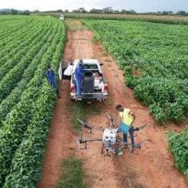 Zimbabwe Story Crop spraying