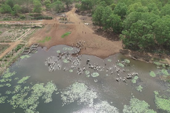 Benin Story Solving Farmers Herders Conflict