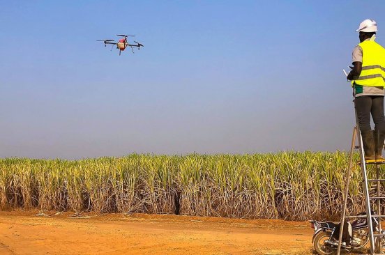 Cote d Ivoire Story Sugarcane production