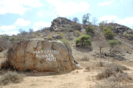 Tanzania Story Monitoring Reforestation Efforts