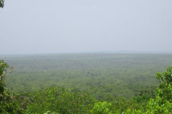 Paysage dans la foret de Wari Maro Benin