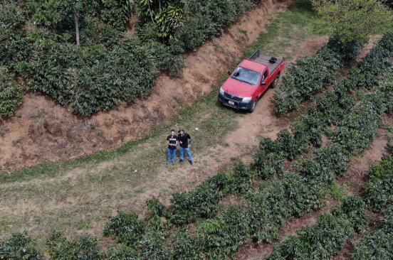 Members of Costa Rica Flying Labs stand in front of a red truck in a plantation looking upwards directly at the camera in a drone shot.