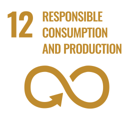E WEB Goal 12