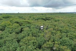 A white drone flies over a thick green canopy of trees.